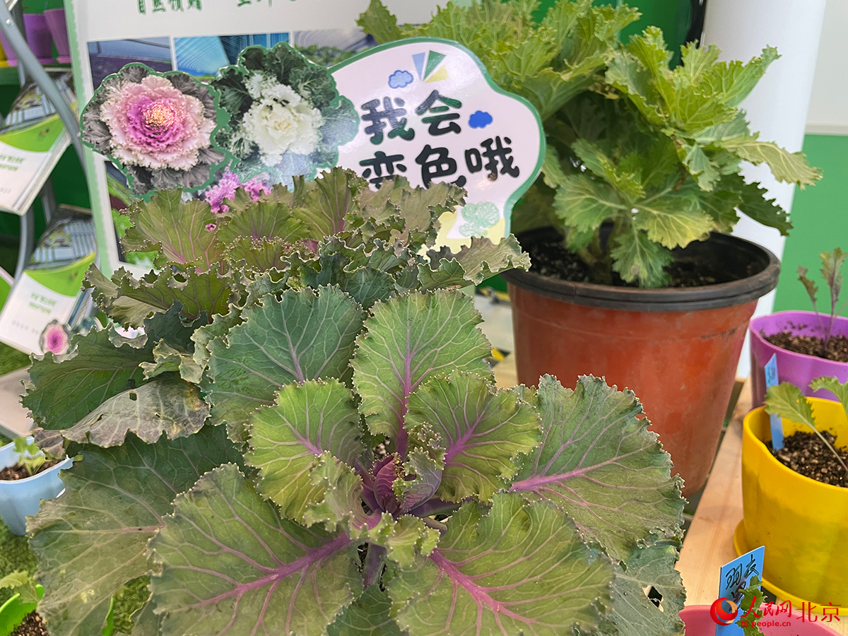 前沿農業成果集中亮相博覽會。人民網記者 尹星雲攝