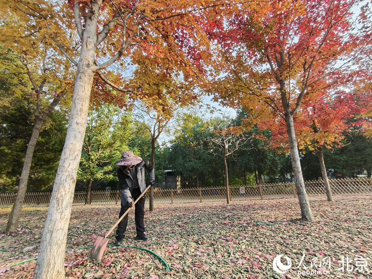 IMG20251028151848_副本