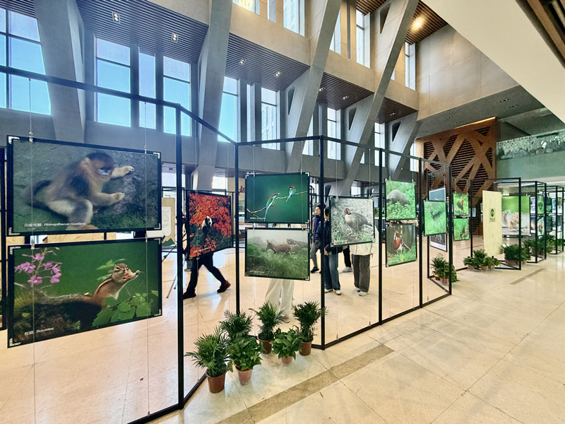 讲好中国国家公园故事暨国家公园高校主题宣传启动