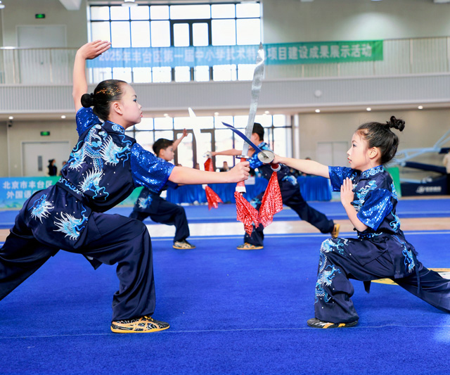丰台400余名“功夫少年”展风采