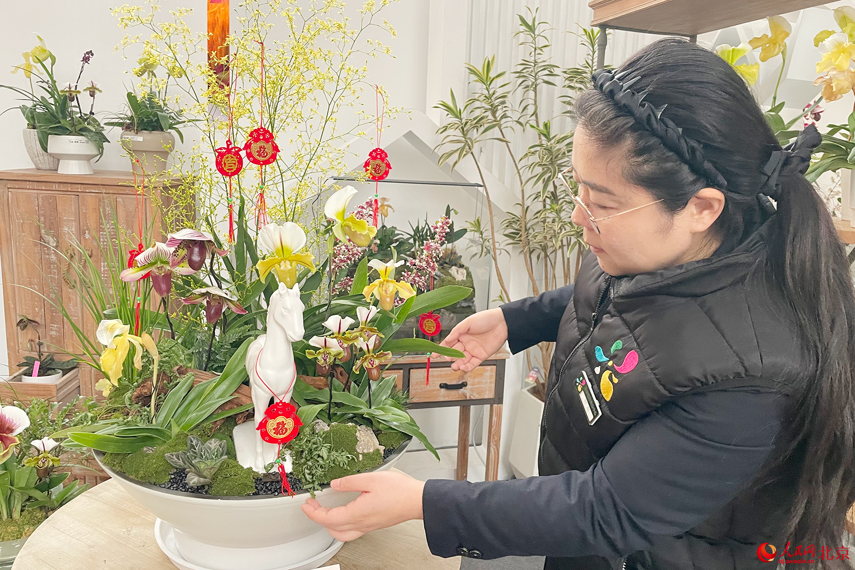 马年赶花集！三十余种兜兰首现北京 科技赋能“植物熊猫”飞入百姓家