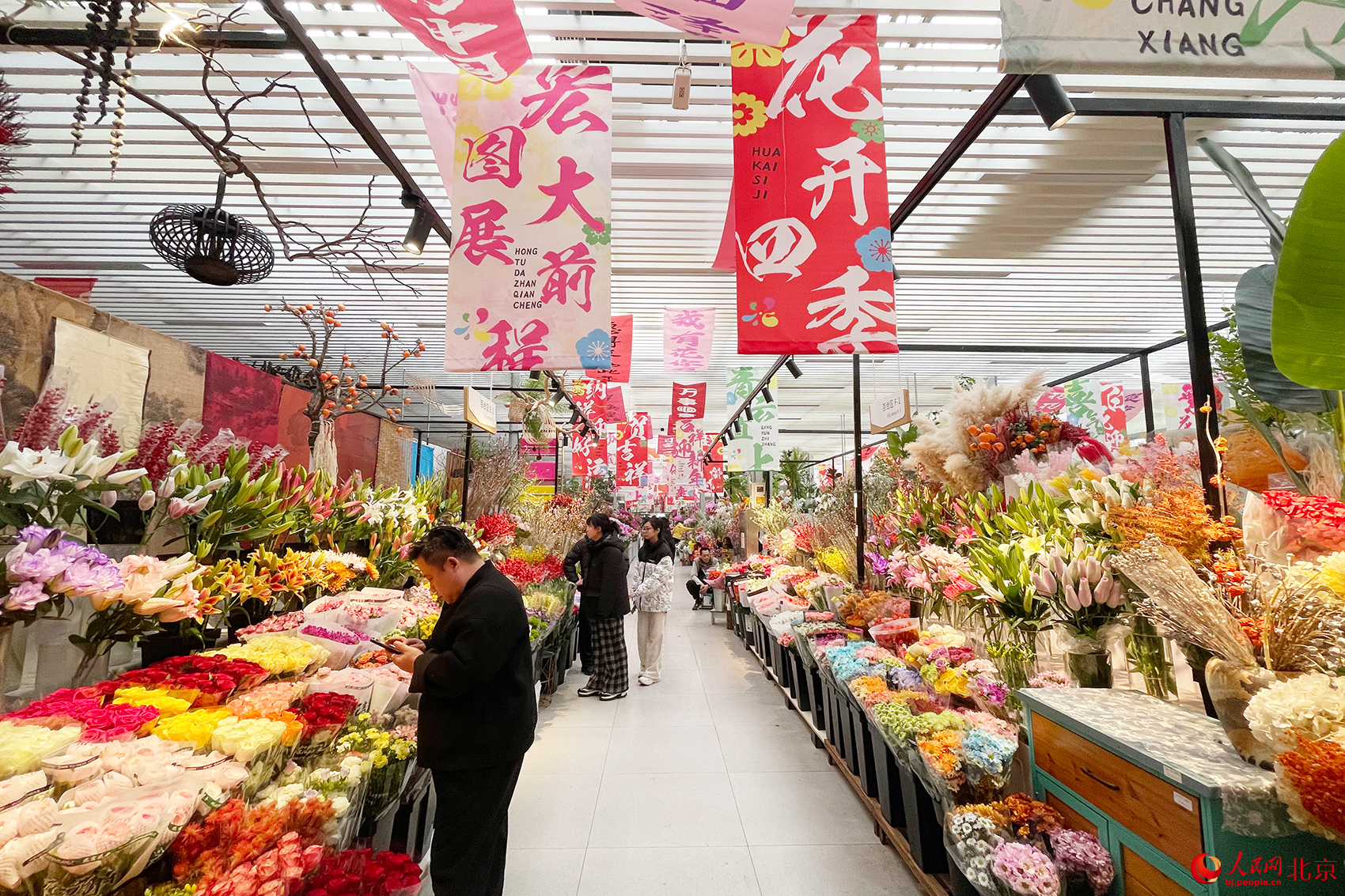 马年赶花集！三十余种兜兰首现北京 科技赋能“植物熊猫”飞入百姓家