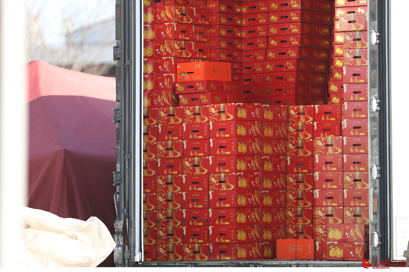 新发地年货节现场。人民网记者 尹星云摄