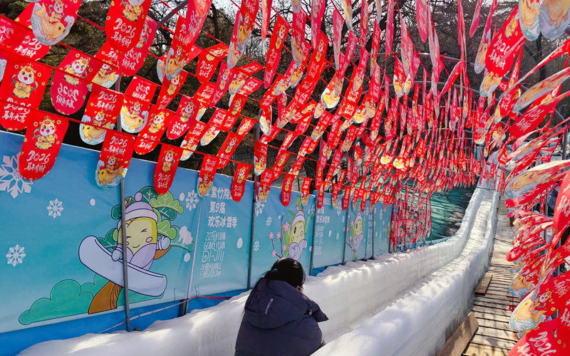 紫竹院公园大年初一到初七特色演出不重样