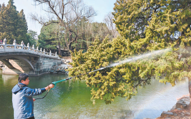 北京市精细化治理春季致敏花粉