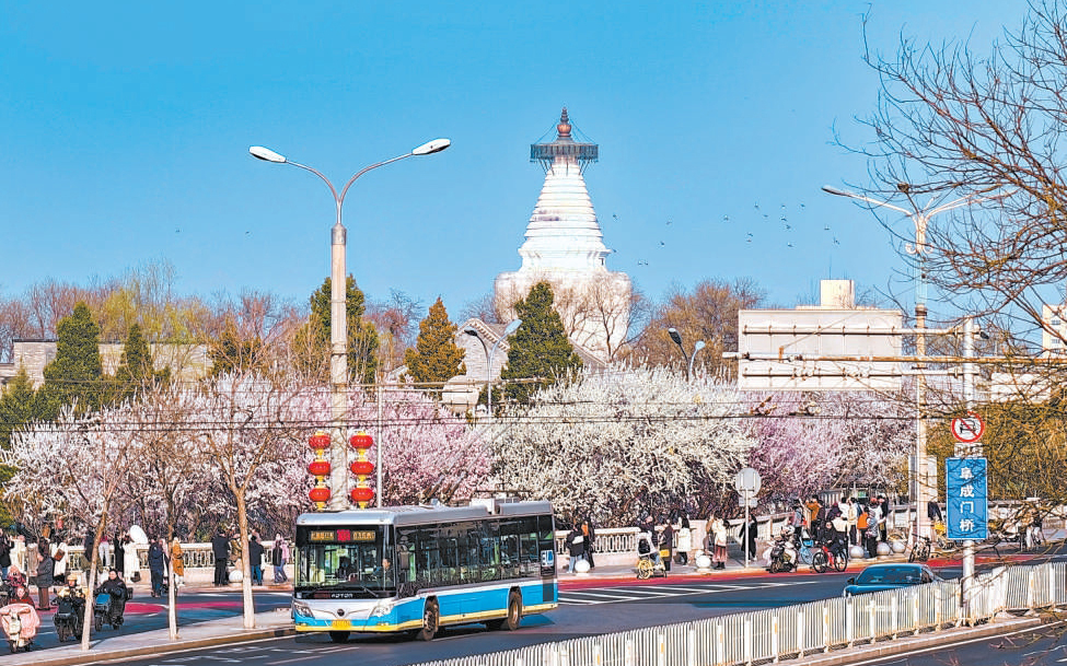 繁花竞放 春色渐浓