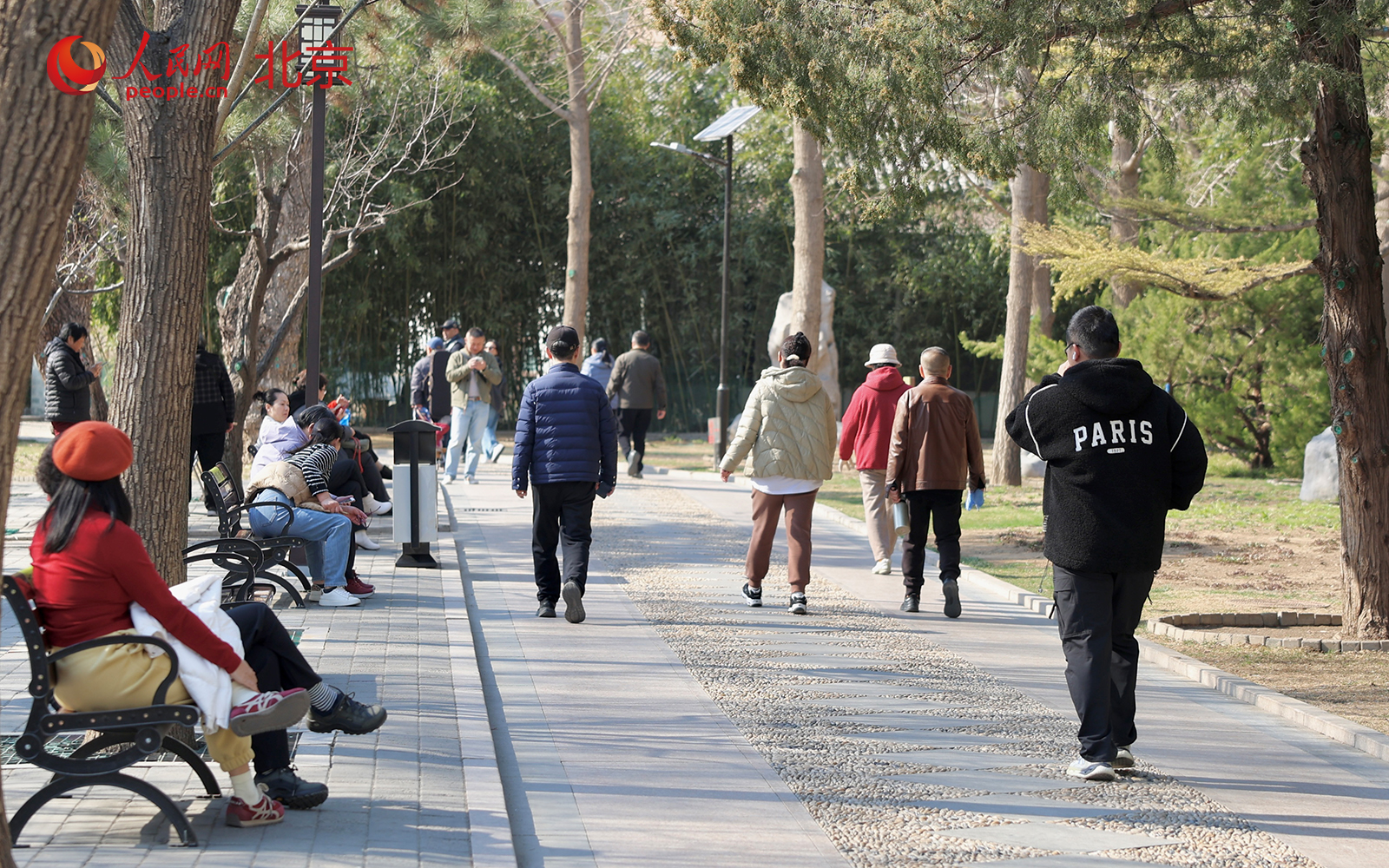 在北京朝阳区团结湖公园内，桃花已进入盛花期，吸引不少市民驻足拍照、休闲漫步。人民网记者 李世奇摄