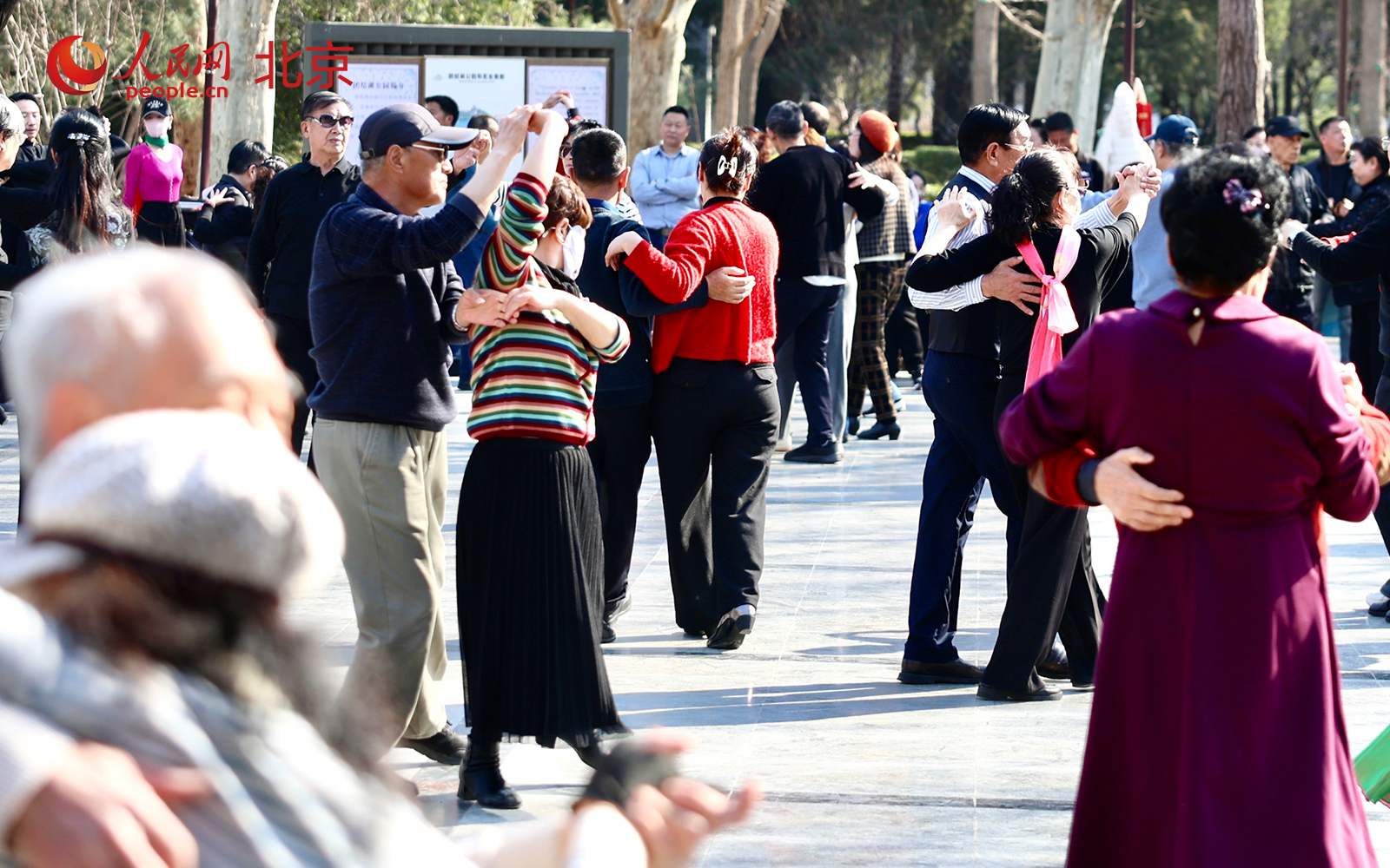 在北京朝阳区团结湖公园内,桃花已进入盛花期,吸引不少市民驻足拍照、休闲漫步。人民网记者 李世奇摄