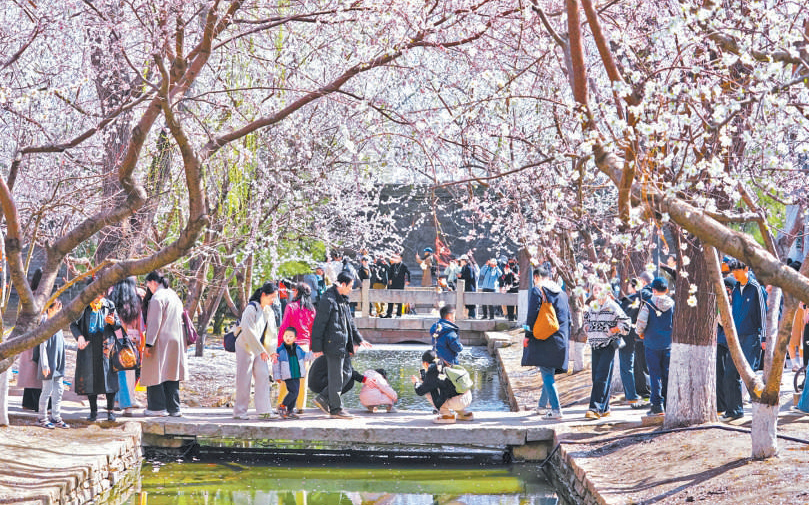 古城新韵 春和景明