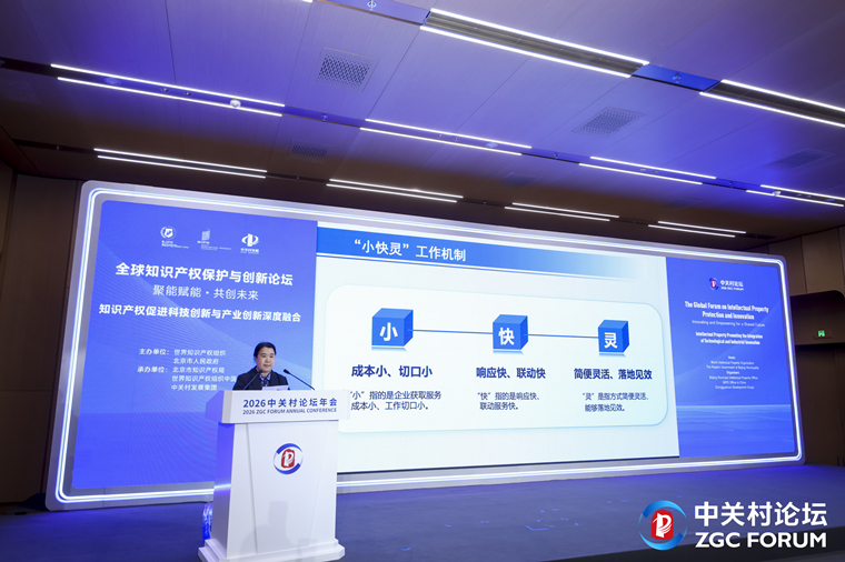 护航企业出海北京建立海外知识产权保护“小快灵”机制(图1)