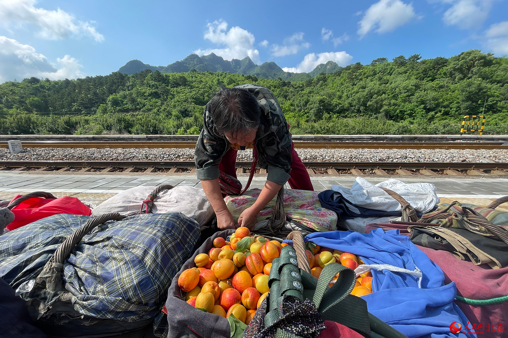 果农向记者展示自己种的山杏。人民网记者 尹星云摄