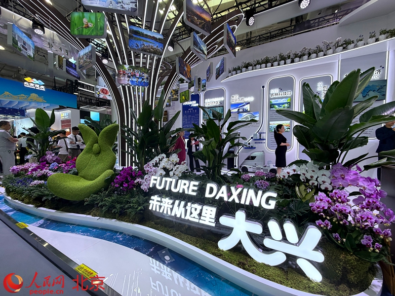探馆服贸会大兴展区:脑机绘画、AI拍立得站上“未来阳台”云游国门新城(图3)