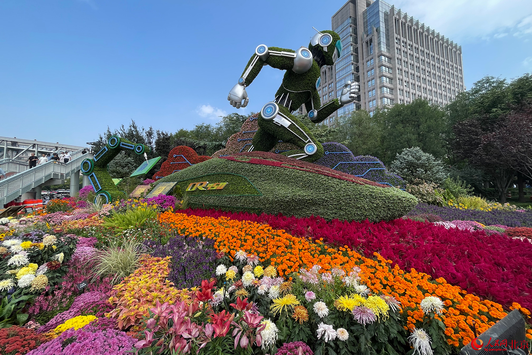国庆立体花坛亮相北京长安街沿线。人民网记者 尹星云摄