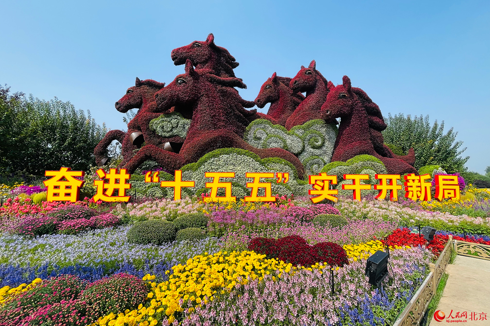 国庆立体花坛亮相北京长安街沿线。人民网记者 尹星云摄