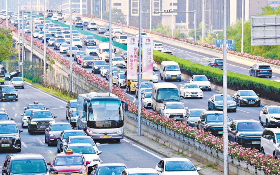 北京环路月季秋季再“爆花” 明春四环路花开不断线