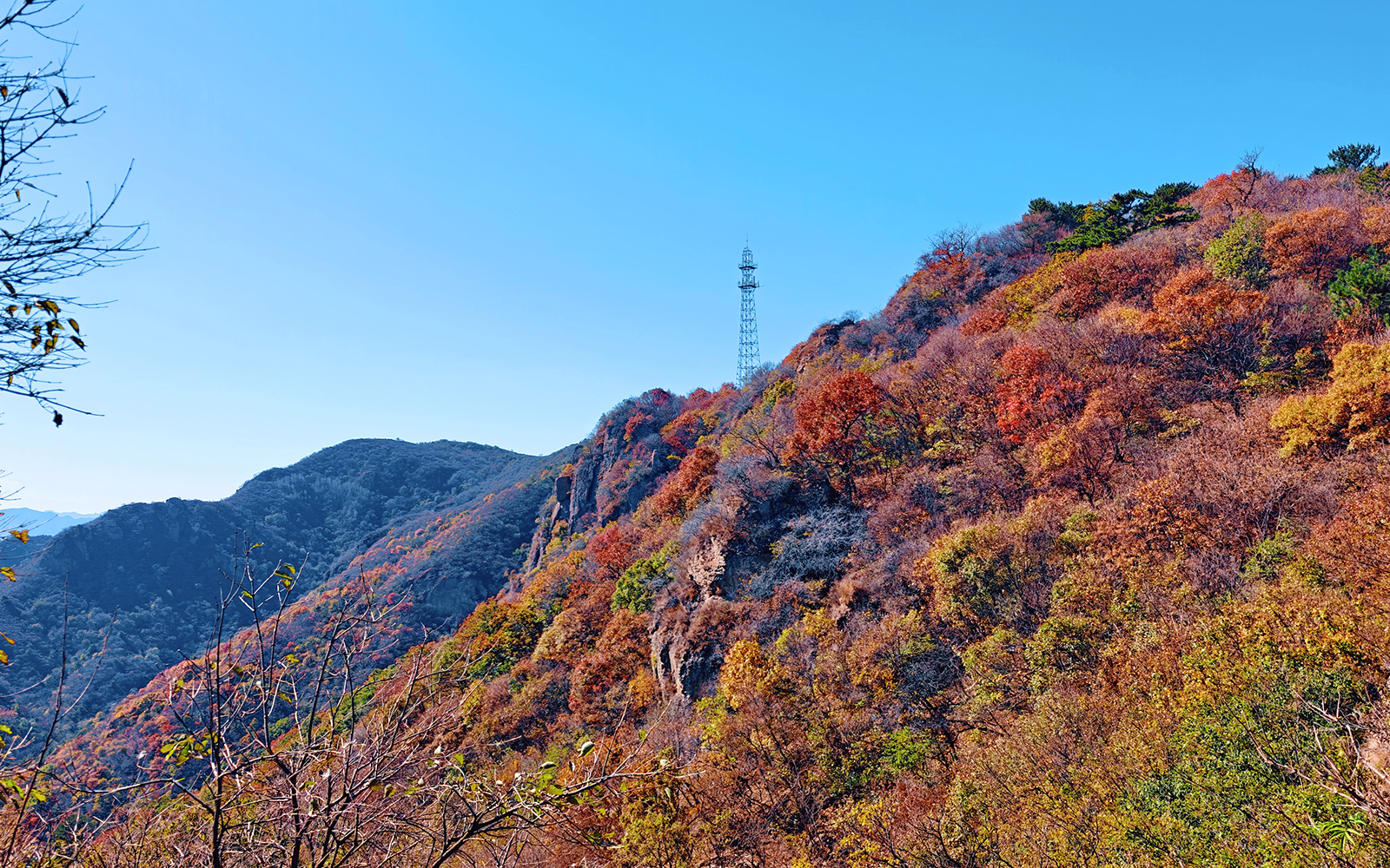 北京門頭溝妙峰山21公裡彩林長卷鋪展 賞紅正當時