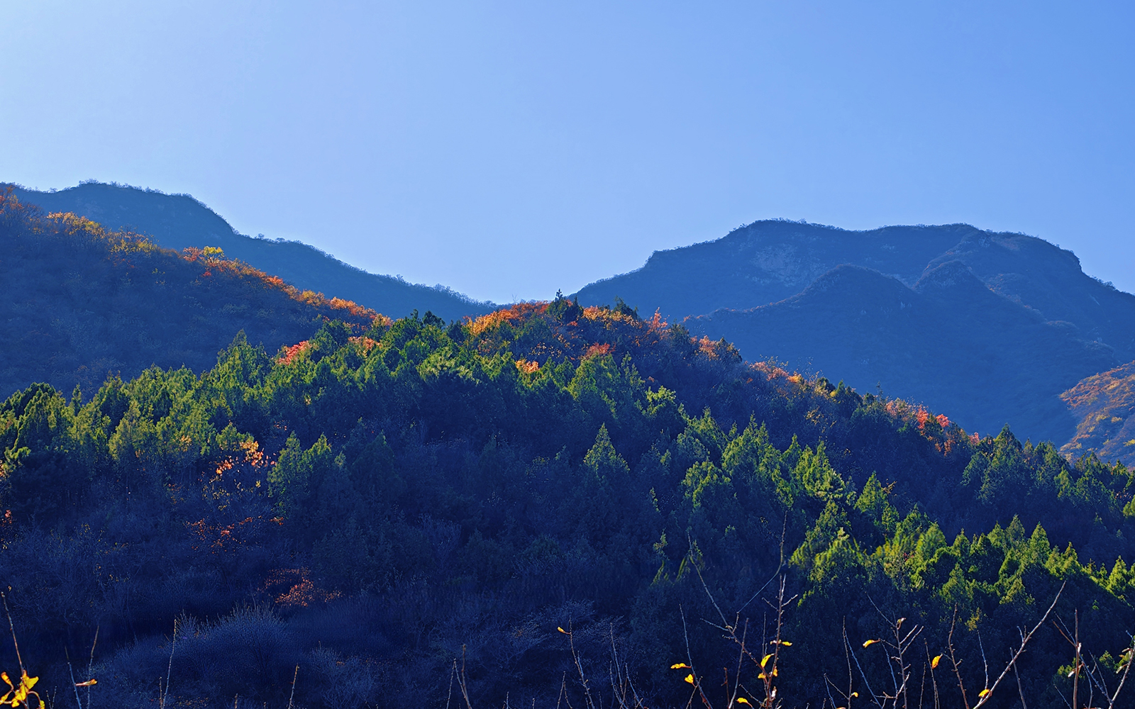 北京門頭溝妙峰山21公裡彩林長卷鋪展 賞紅正當時