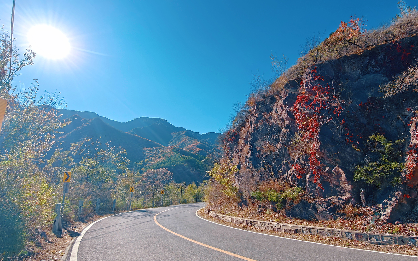 北京門頭溝妙峰山21公裡彩林長卷鋪展 賞紅正當時