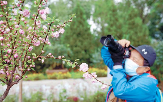 今年北京秋季新优花卉品种展示推介会开幕 300余种新优植物品种齐亮相