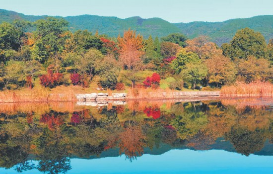 北京迎来绚丽秋色 市属公园推出20处彩叶观赏点